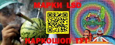 шишки Татарск