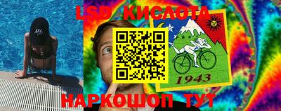 крисы Тара