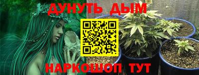 шишки Татарск
