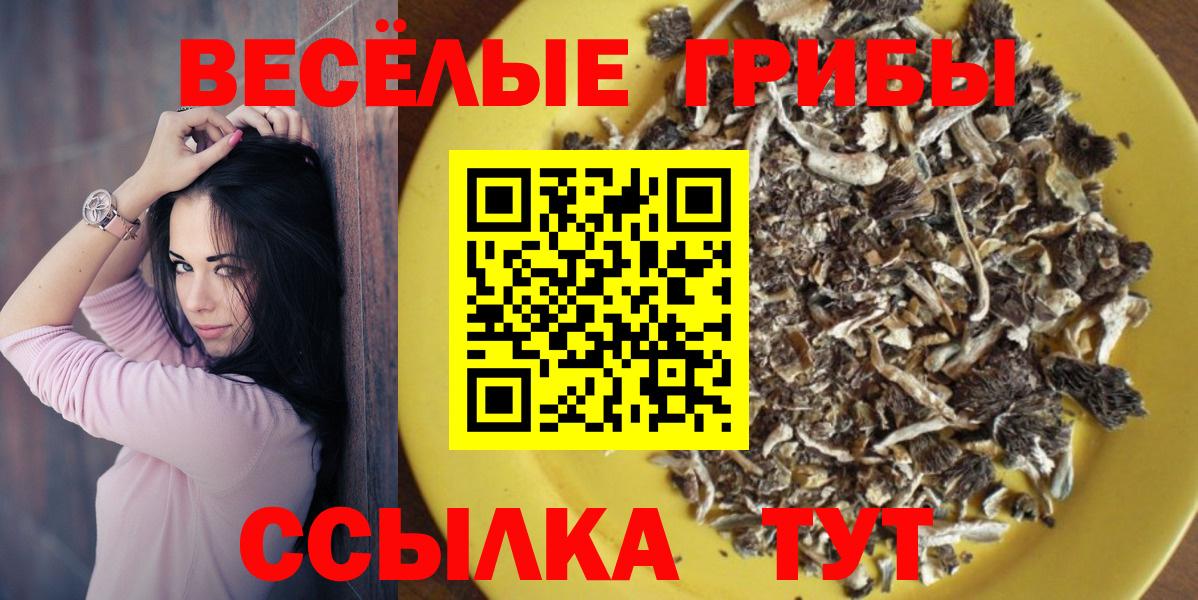 Галлюциногенные грибы Cubensis  Вход с VPN  Янаул 