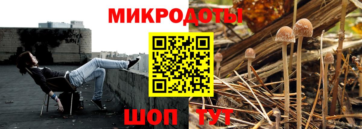 Псилоцибиновые грибы MAGIC MUSHROOMS Янаул